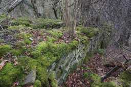 Hownes Gill Incline 1 12/11/2021